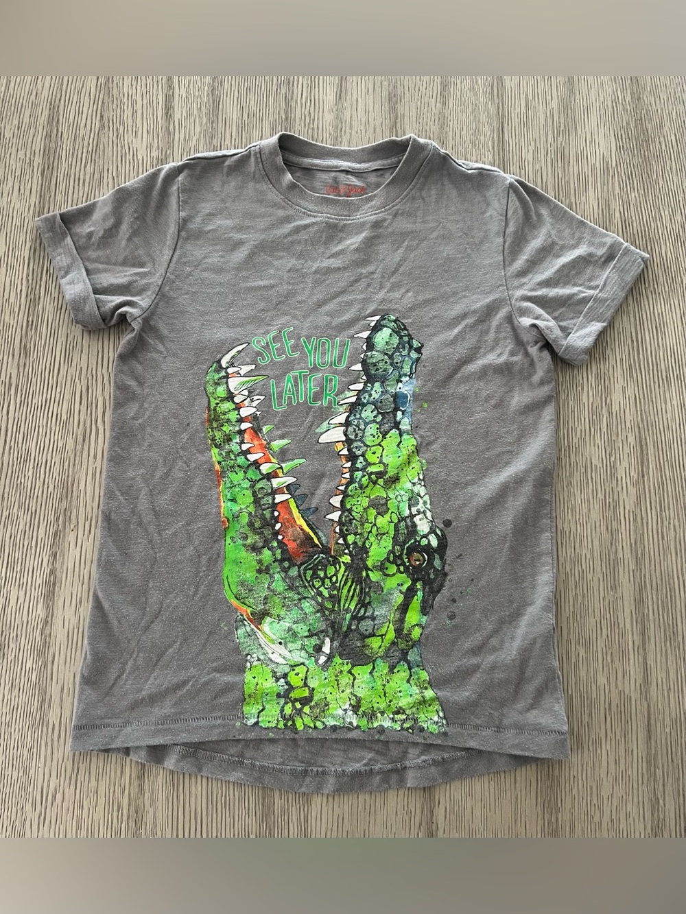 Cat & Jack Boys short sleeve graphic Tee